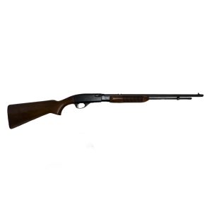 Carabine à pompe Remington 572 Field Master 22lr